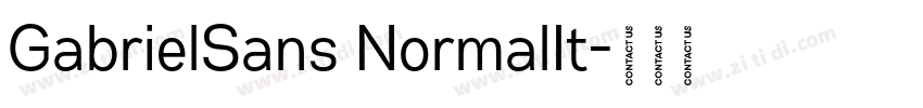 GabrielSans NormalIt字体转换